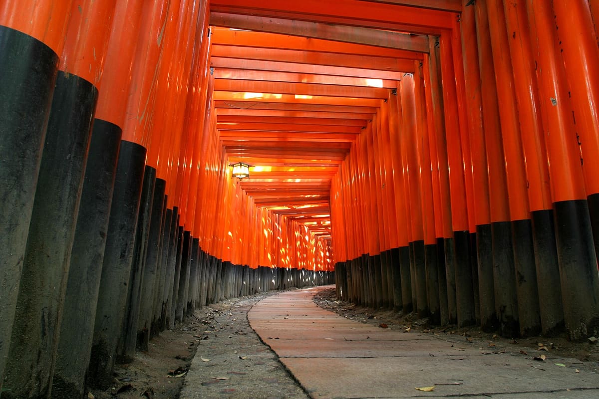 Japan: Tokio, Kioto en Osaka
