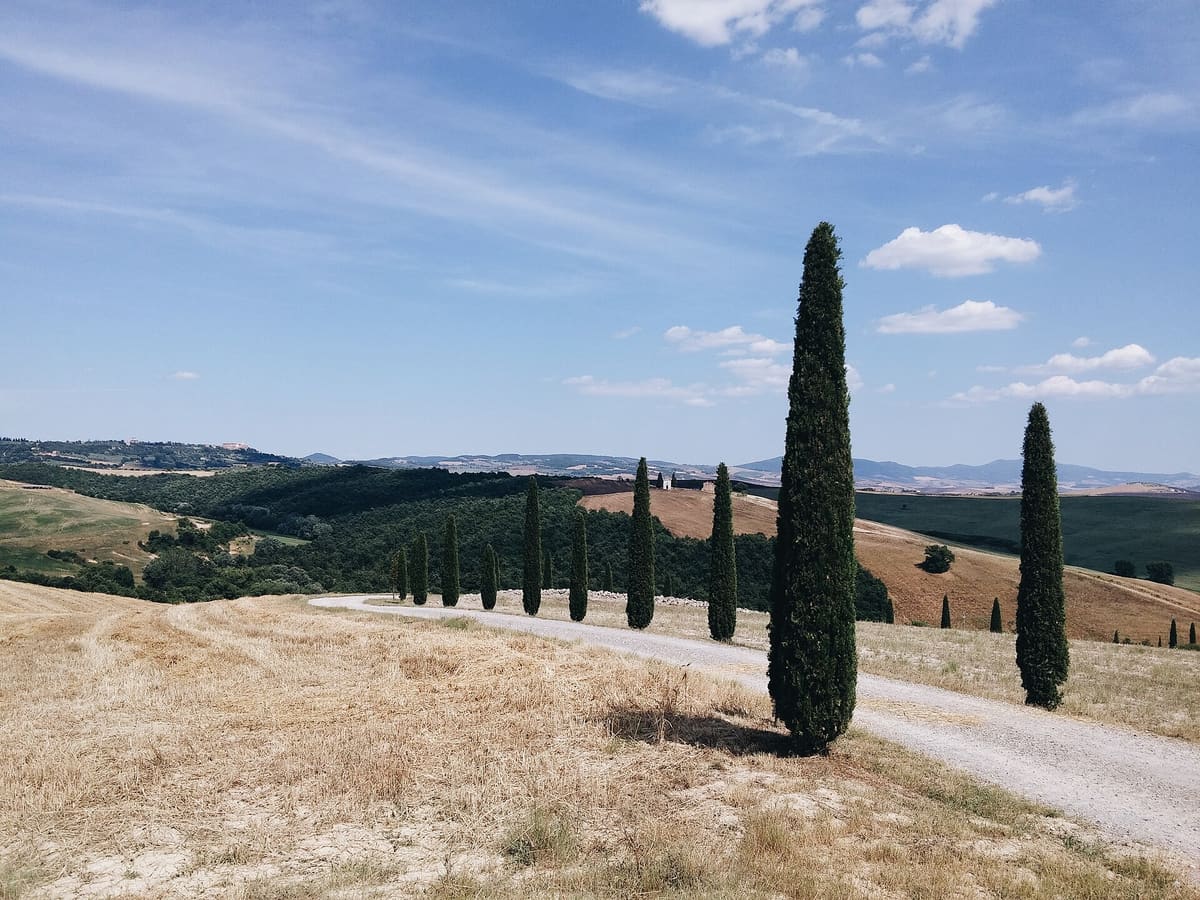 Toscane: Florence, Siena en de Val d'Orcia